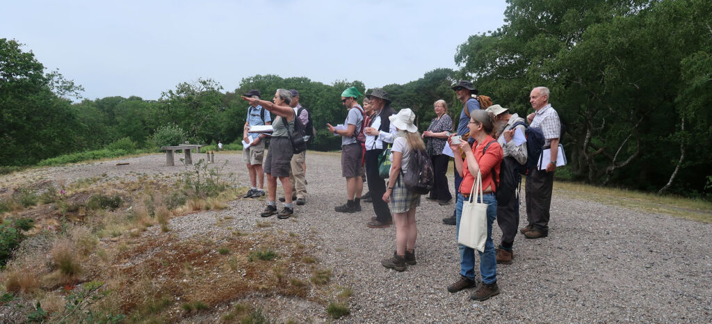 A group of people standing on a wooded hilltop look at a view.